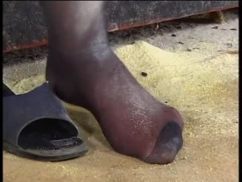 Stepmoms in heat - DVD