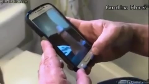 Riley Reid Primeira Parte